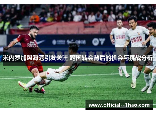 米内罗加盟海港引发关注 跨国转会背后的机会与挑战分析