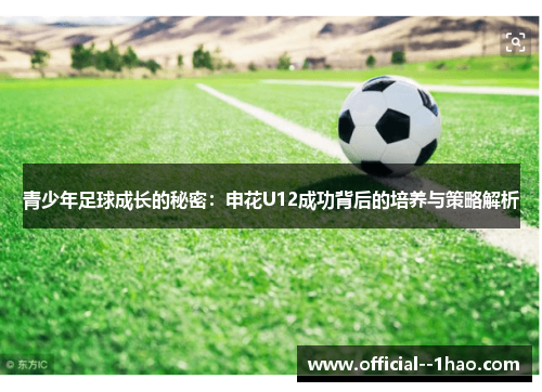 青少年足球成长的秘密：申花U12成功背后的培养与策略解析