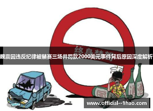 魏震因违反纪律被禁赛三场并罚款2000美元事件背后原因深度解析