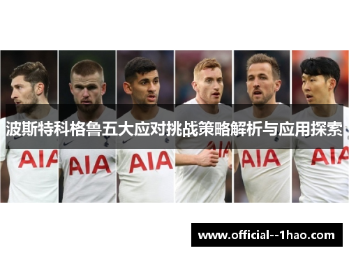 波斯特科格鲁五大应对挑战策略解析与应用探索
